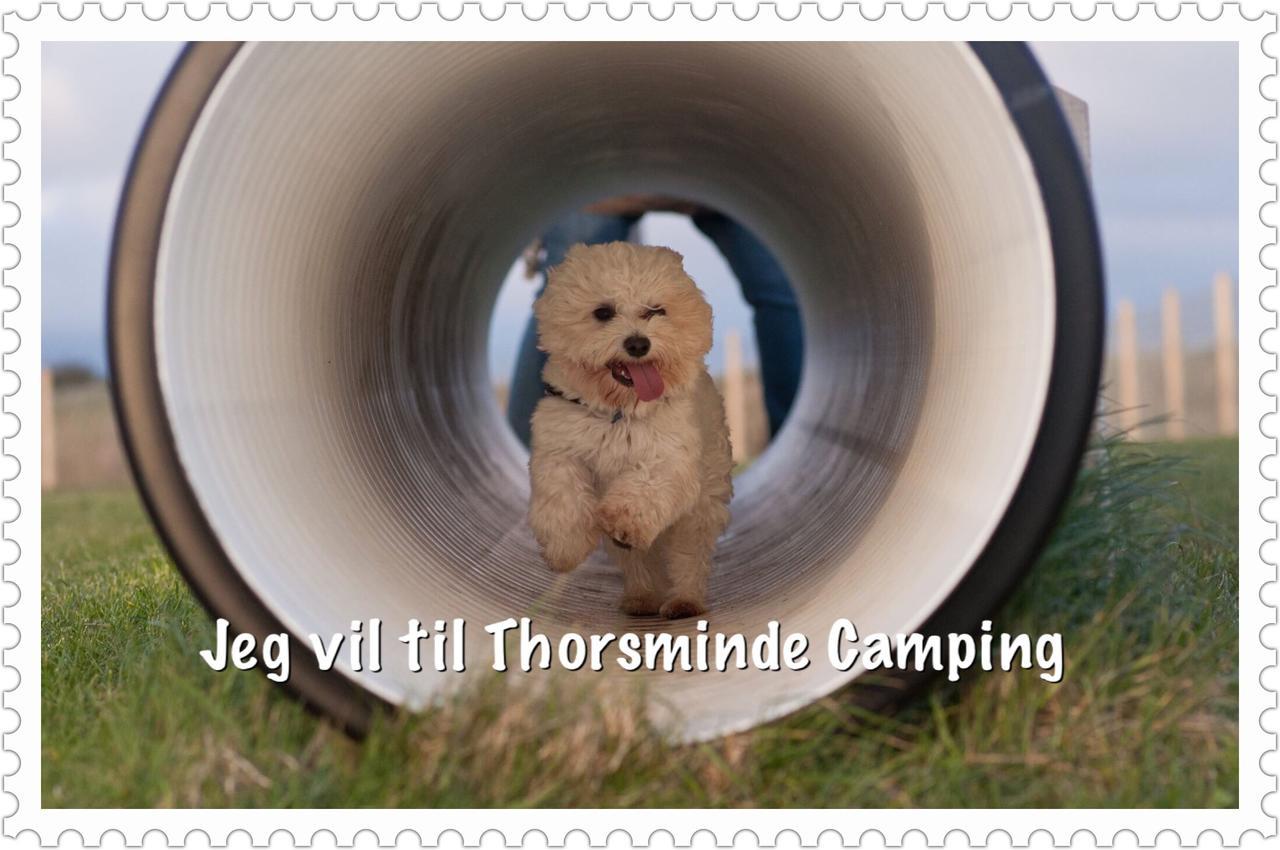 Thorsminde Camping & Cottages Εξωτερικό φωτογραφία